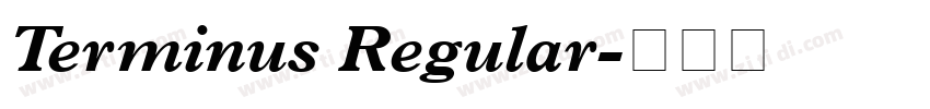 Terminus Regular字体转换